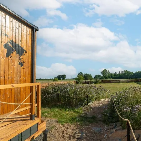 Your Holidays Freedom