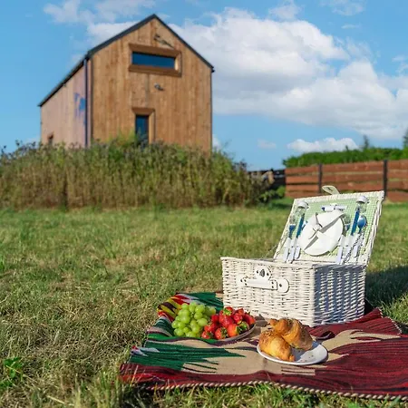 Your Holidays Freedom *