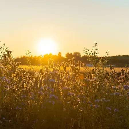 Your Holidays Freedom Сasa de vacaciones